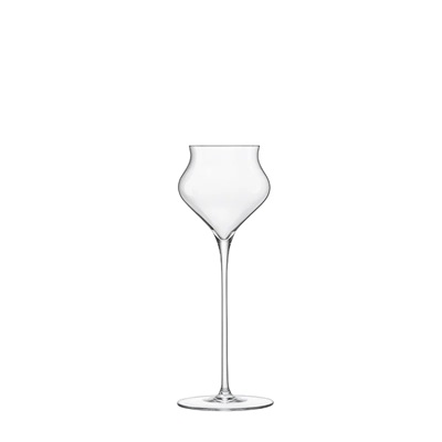 Sapientia Spirits Glass 14cl